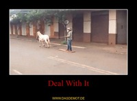 Deal With It –  